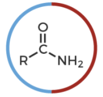 <p>R-C(O double nond)-NR<sup>’</sup><sub><sup>2</sup></sub></p>