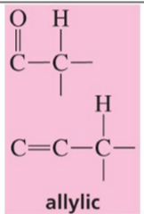 <p>Allylic hydrogens </p>