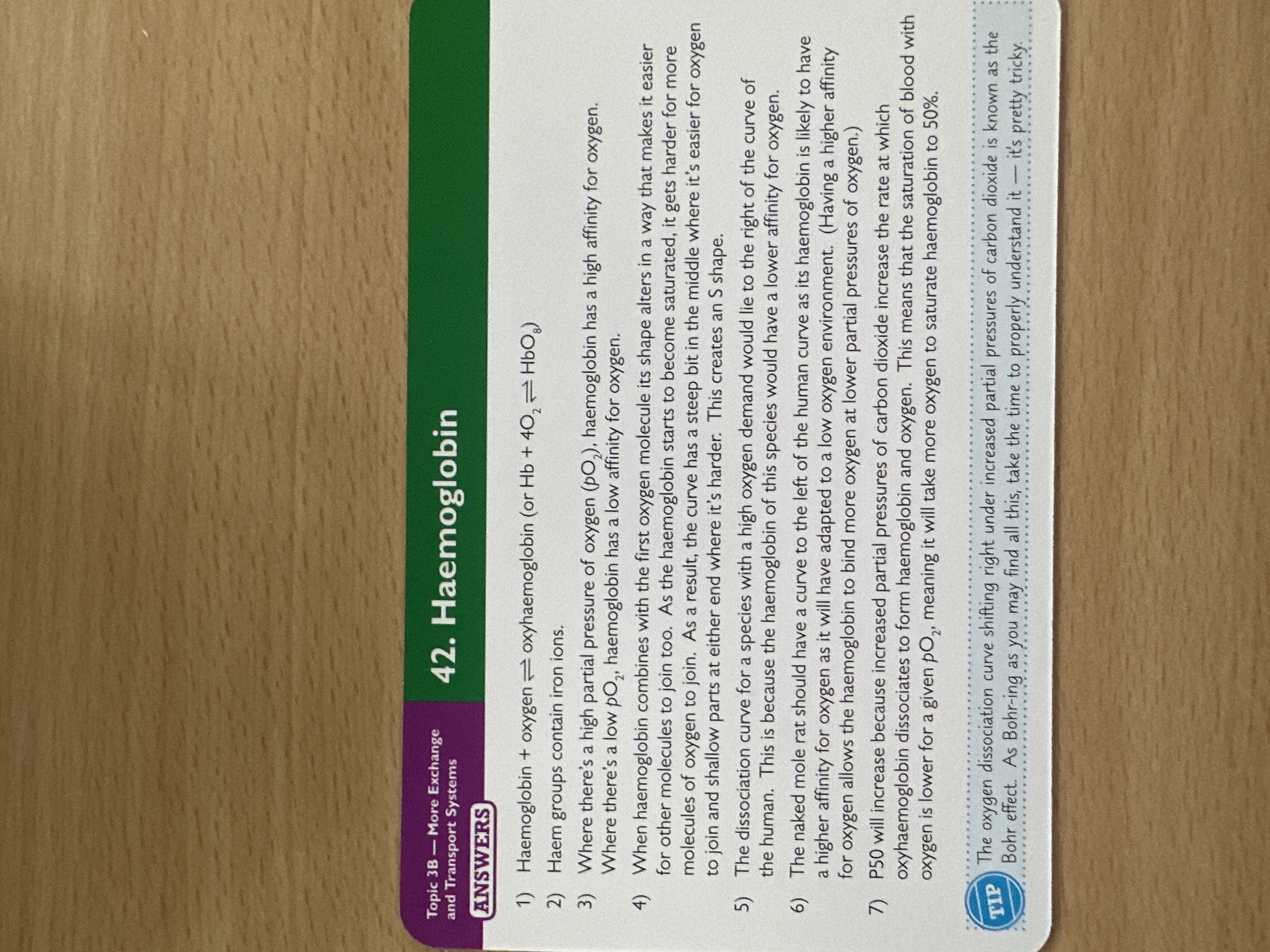 knowt flashcard image