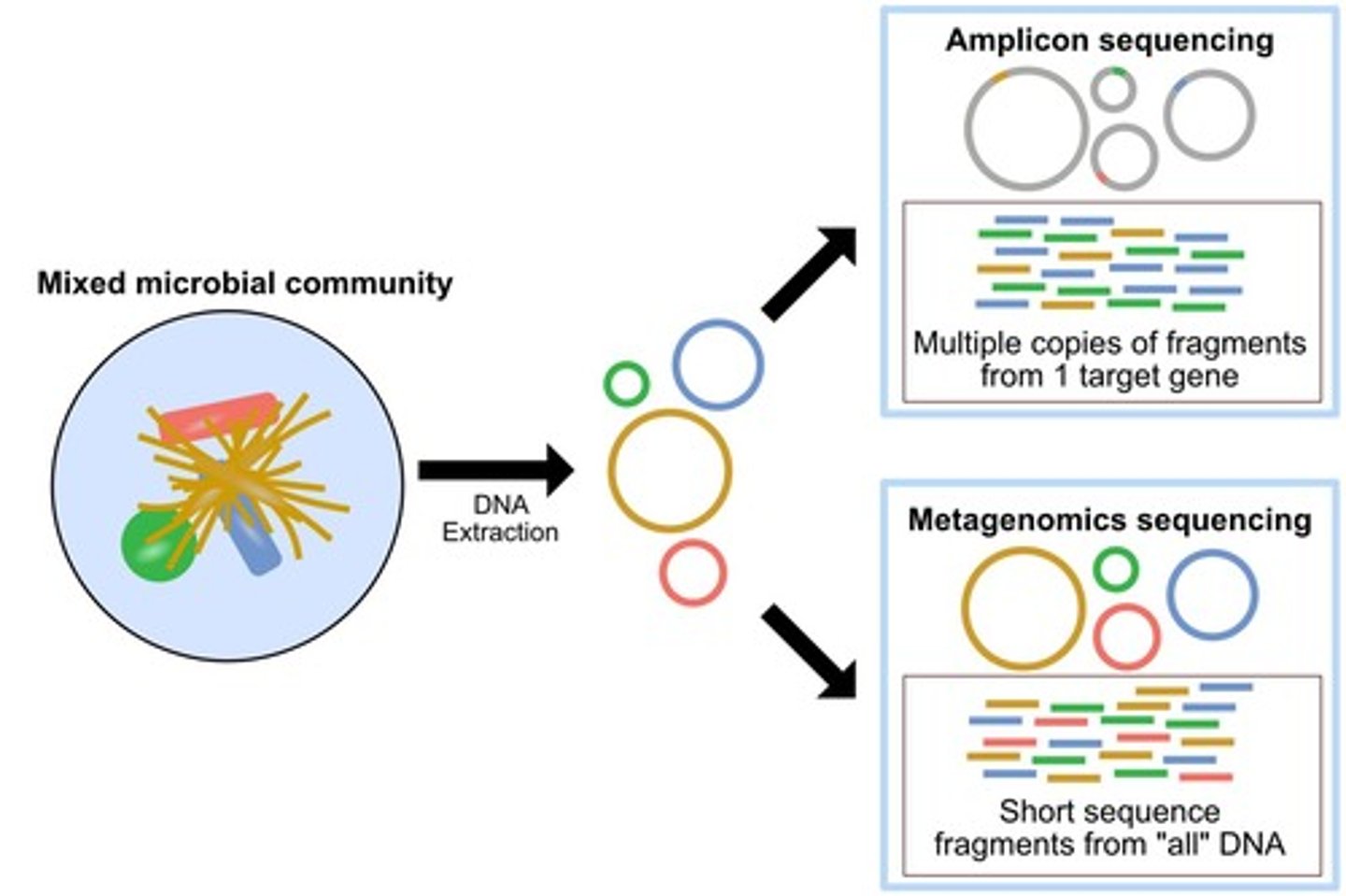 <p>The study of a complex mixture of genetic material obtained from an environmental sample.</p>