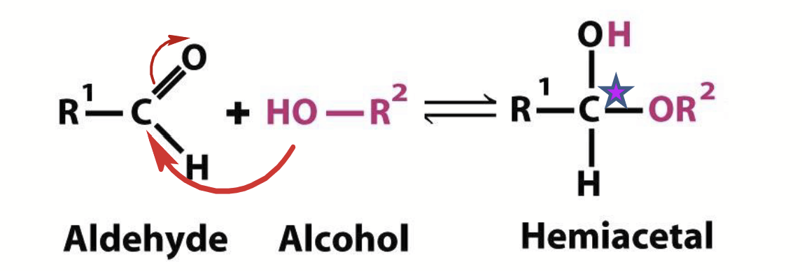 <p>Aldehydes can react with alcohols.</p><p>Note: the original carbonyl carbon becomes chiral upon formation of these.</p>