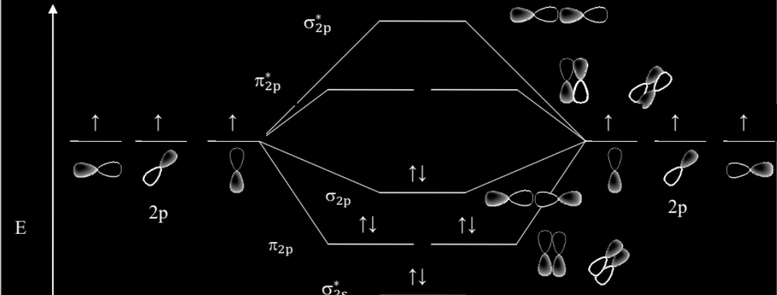 <p>The middle orbitals would have an orbital sequence of 2-1-2-1 (alternating). (remember, sigmas have 1 orbital, and pi’s have 2)</p>