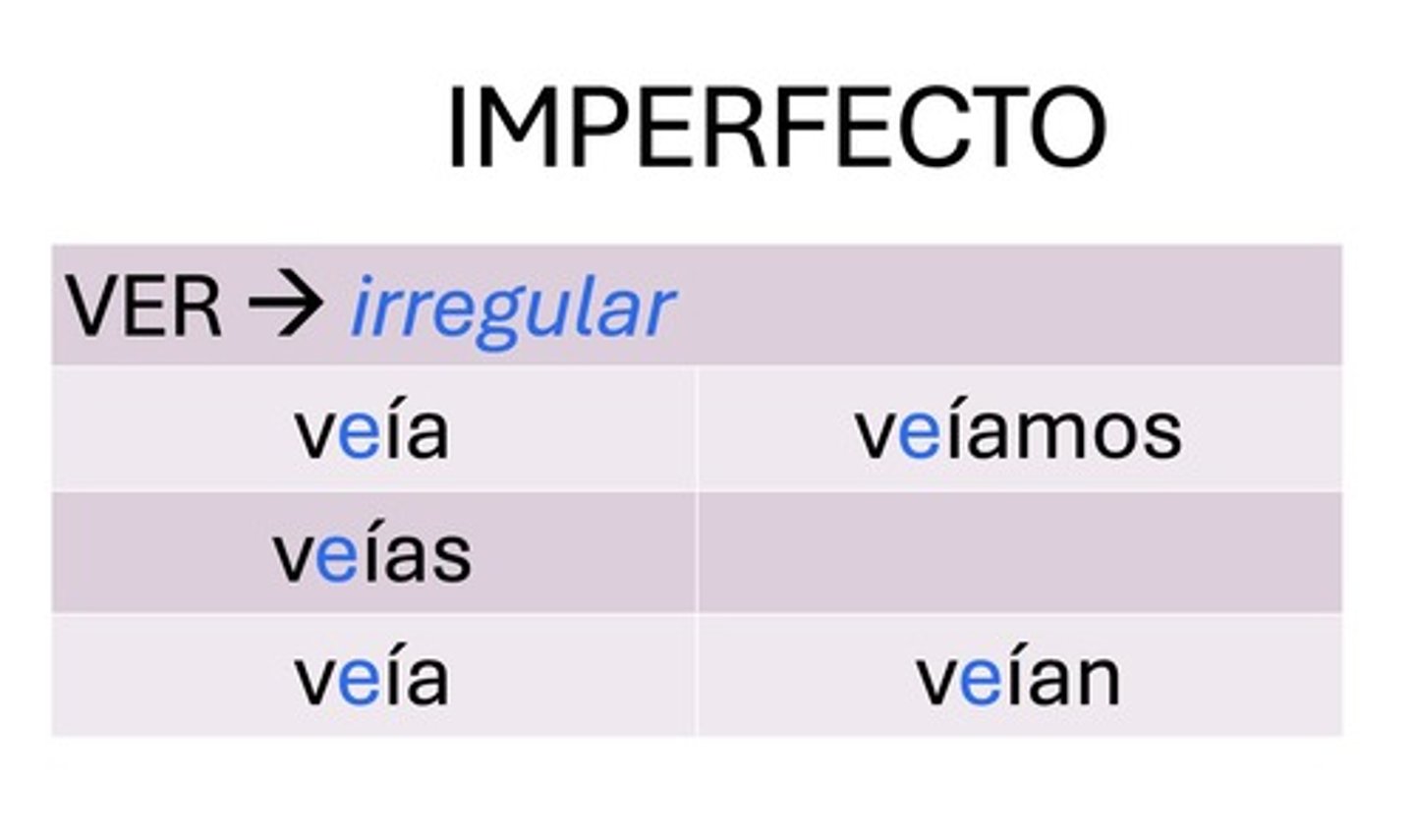 <p>veía</p>