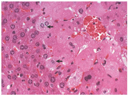 <p>What is this?</p>