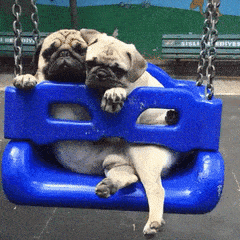 swing