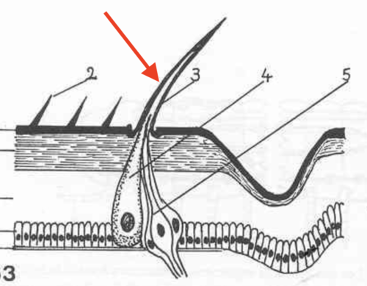 <p>what is this?</p>