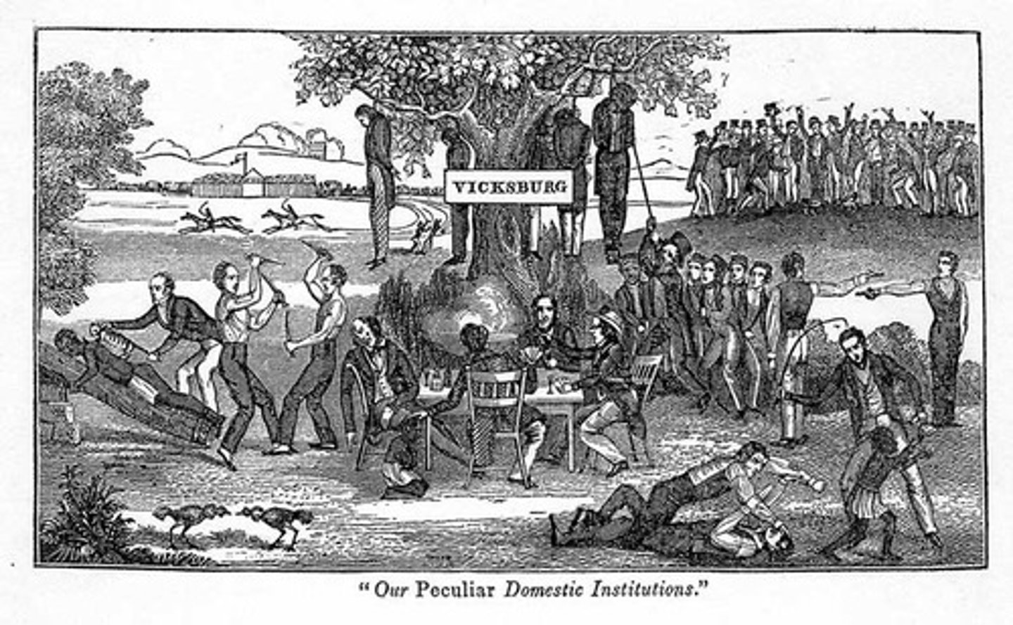 <p>Widely used term for the institution of American slavery in the South. Its use in the first half of the nineteenth century reflected a growing division between the North, where slavery was gradually abolished, and the South, where slavery became increasingly entrenched.</p>