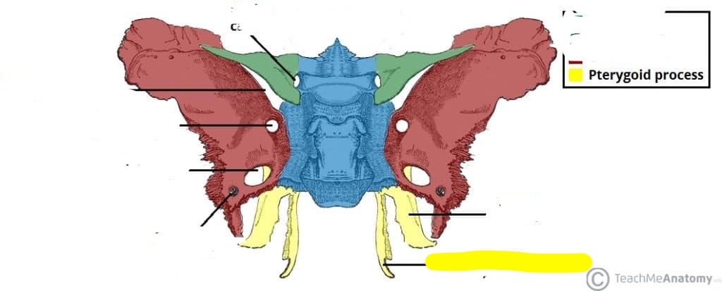 <p>What is the structure? </p>