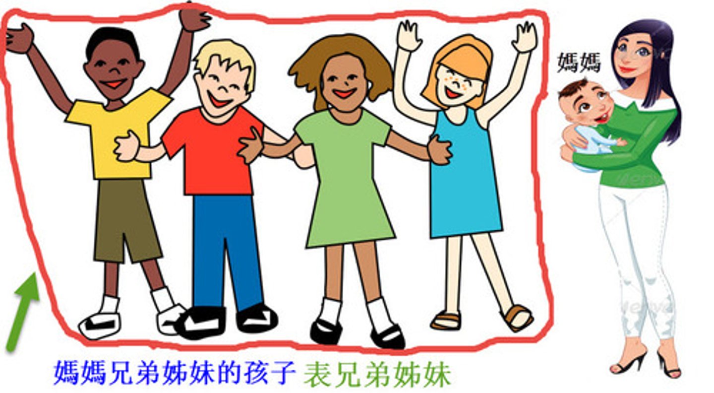 <p>（biǎo mèi） younger female cousin (mother's side)</p>
