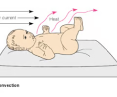 <p><span>air currents </span></p>