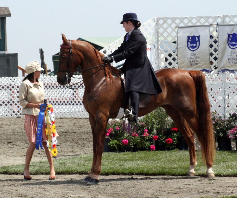 <p>kentucky, easy ride with style and animation</p>