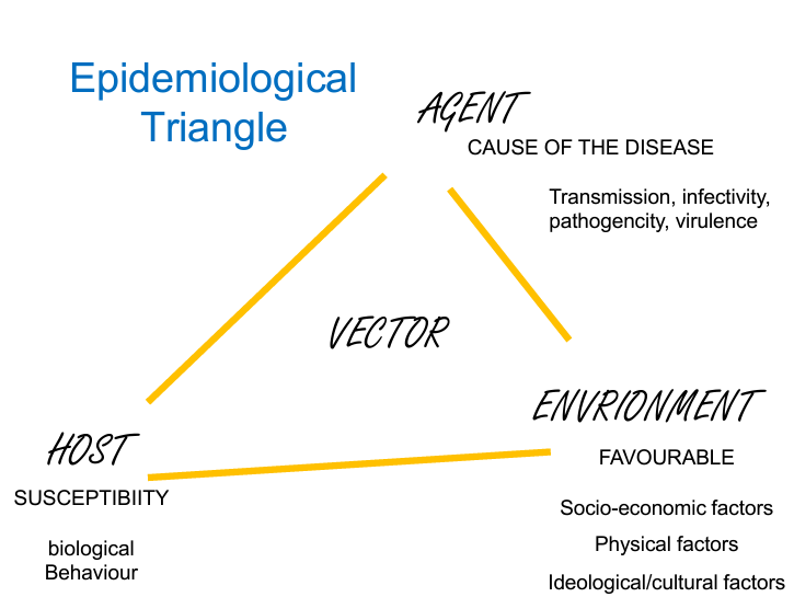 <p>Model illustrating the interaction of host, agent, and environment in the development of disease.</p>