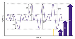 <p>Co to za pojemność płuc ssaka?</p>