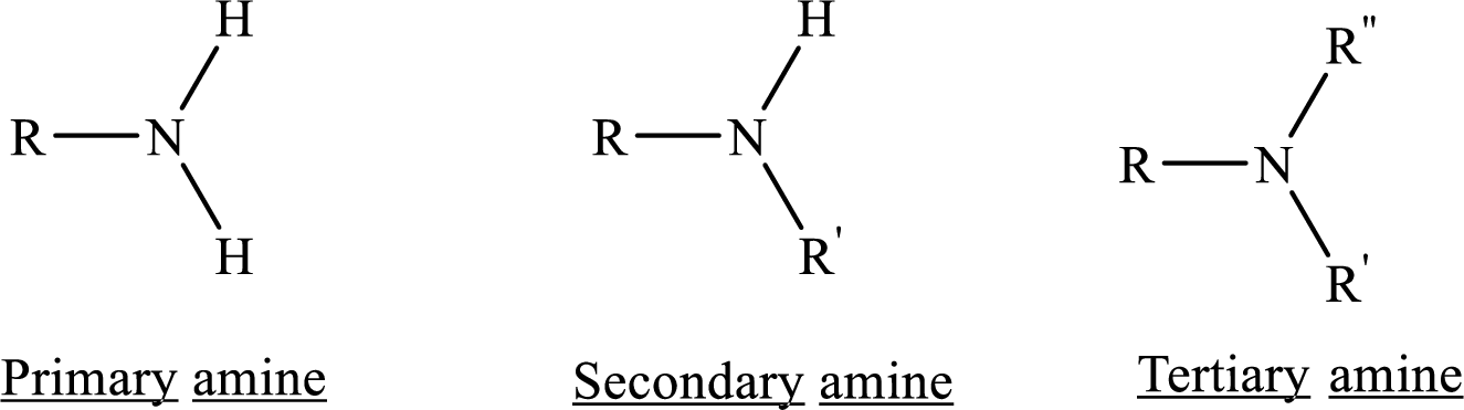 <p>nitrogen with a lone pair of electrons. can be primary, secondary, or tertiary. </p>