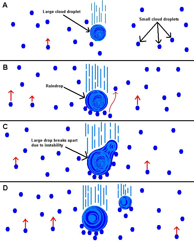 <p>Large droplets form in warm clouds and collide with others, common in the tropics.</p>