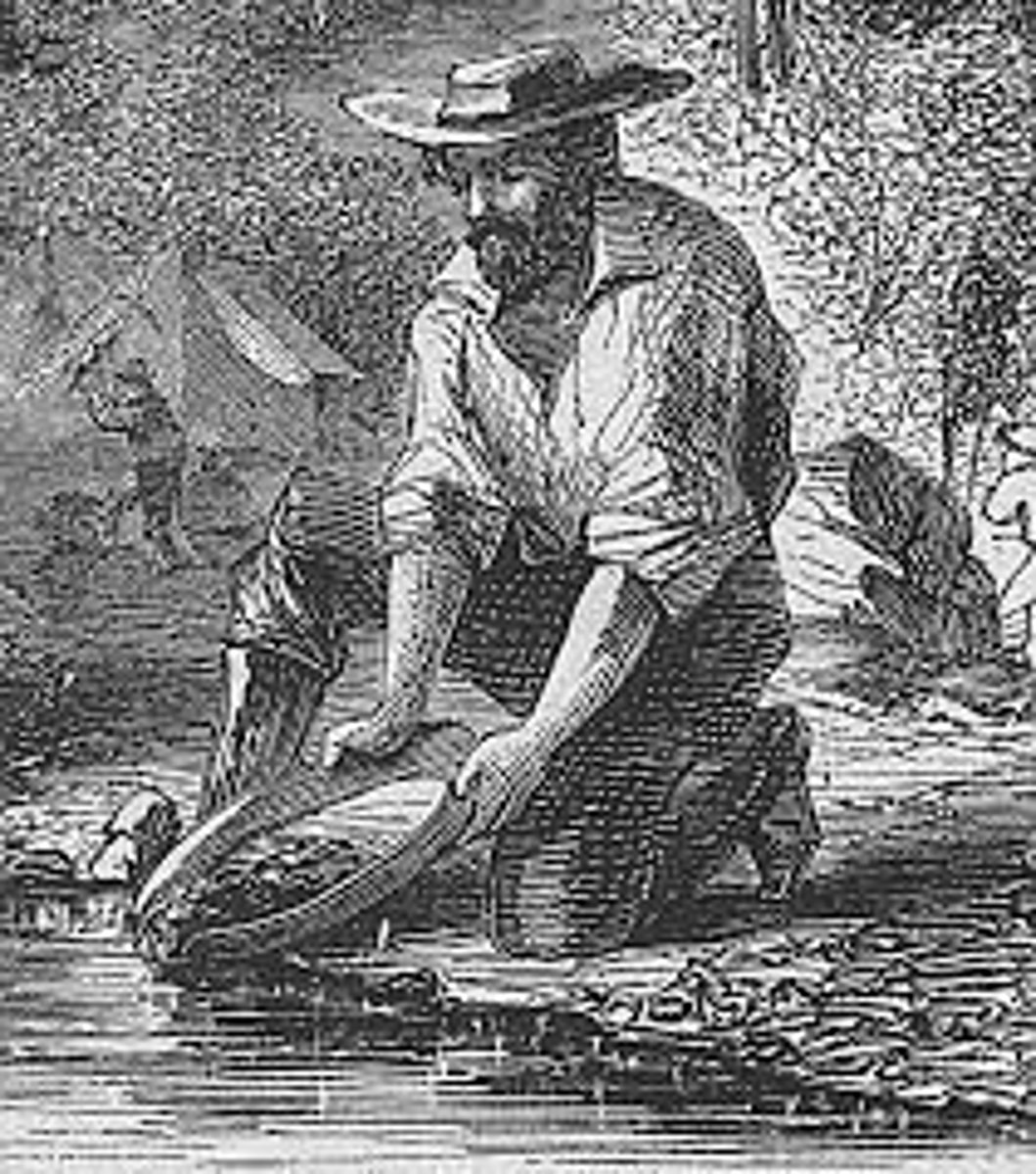 <p>- Mostly young, male Americans, but also people from Mexico, South America, Europe, Australia, and China who came to California in search of gold after it was discovered there in 1848</p><p>- The massive influx of people led to the deaths of many Native Americans and gave California enough people to become a state in 1850</p>