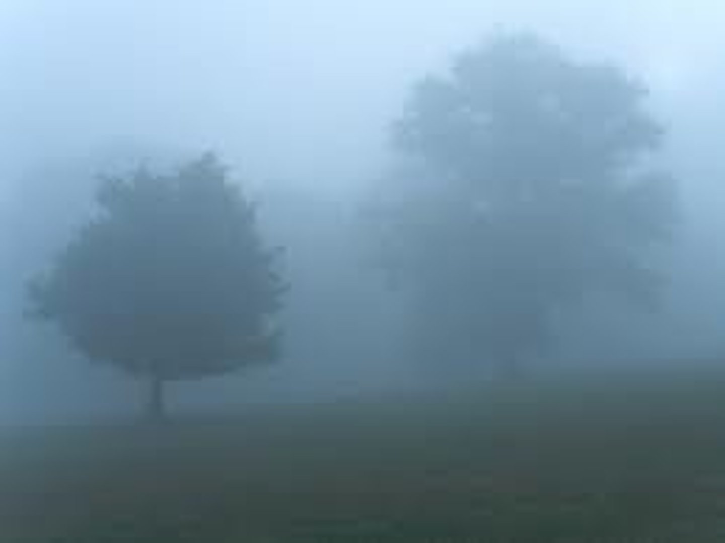 <p>there is fog</p>