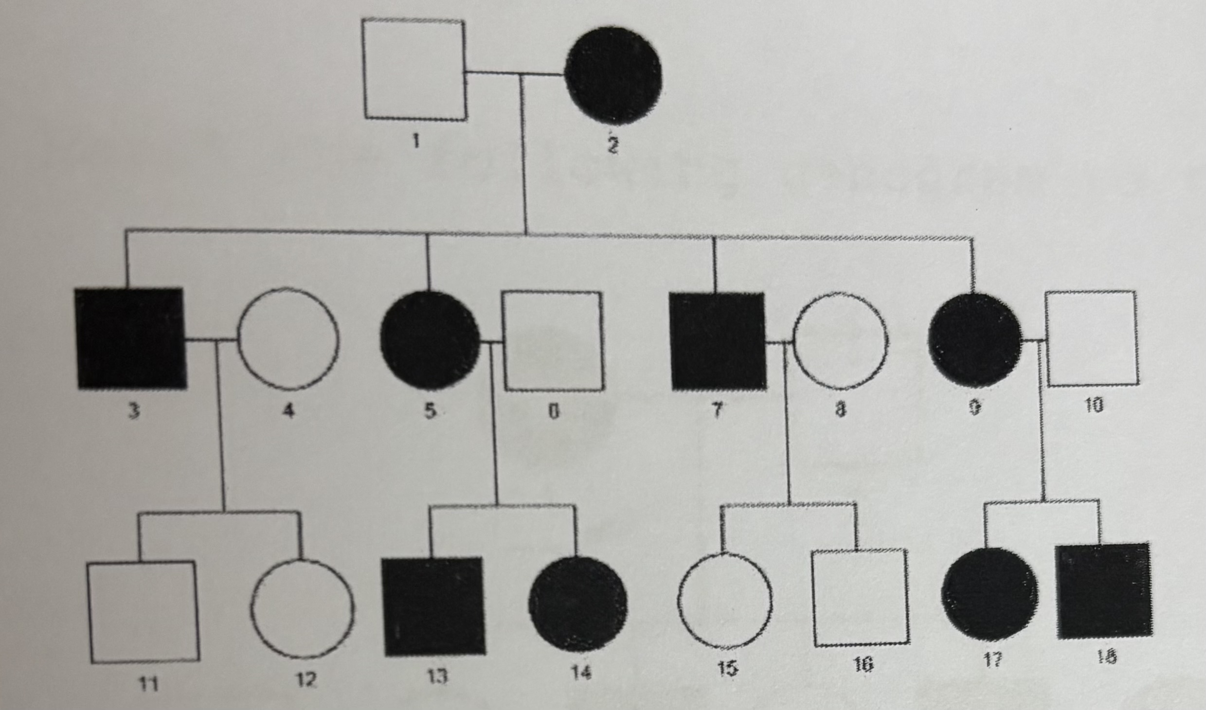 <p></p>