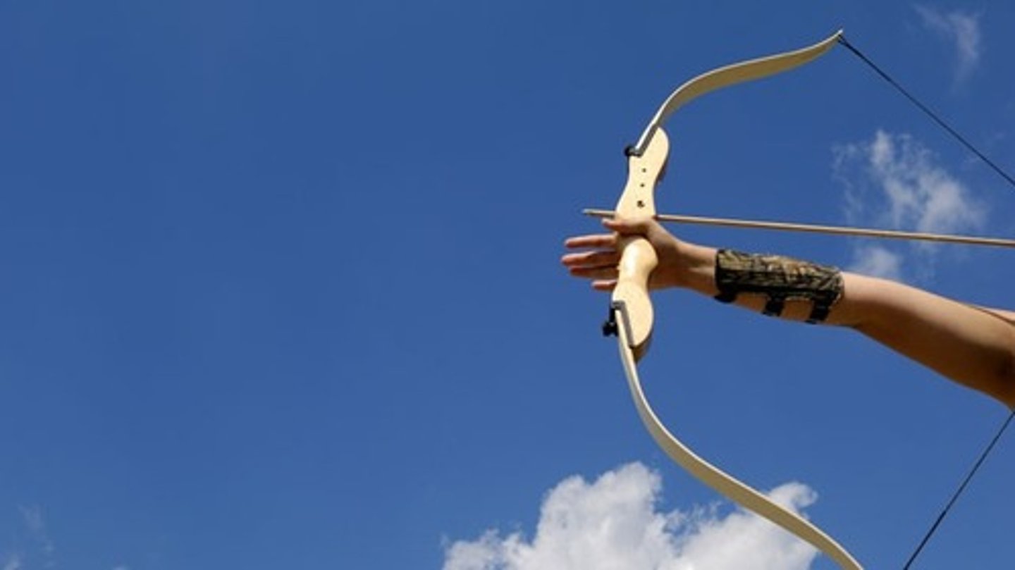 <p>bow and arrow</p>
