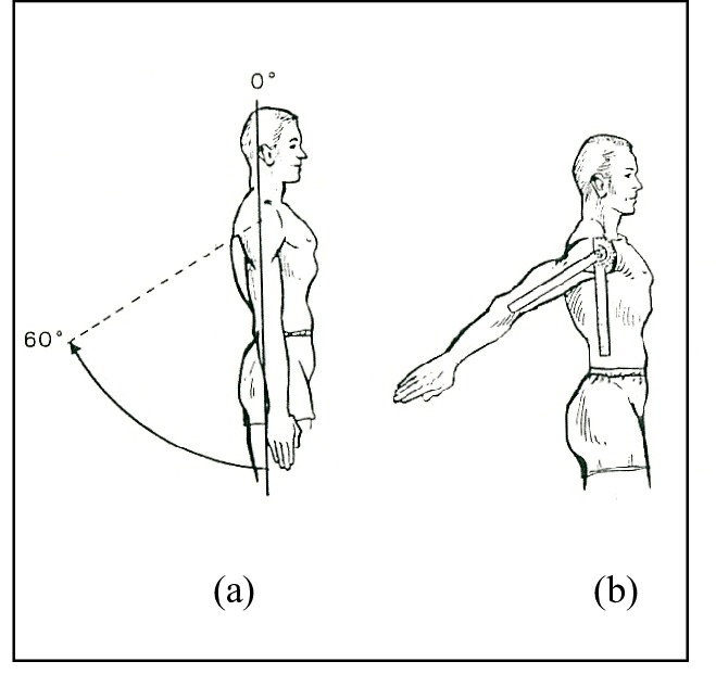 <p>What are the prime moving muscles of the shoulder <u><strong>joint</strong></u> involved in <strong><em>extension</em></strong>?</p>