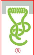 <p>Discuss the structure of an amphipathic alpha helix in a peripheral protein</p>