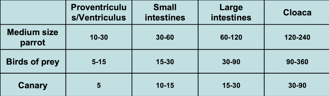 <p>To localize the GI tract, assess hypomotility, identify obstruction/occlusion, or evaluate changes in location/shape of other organs.</p>