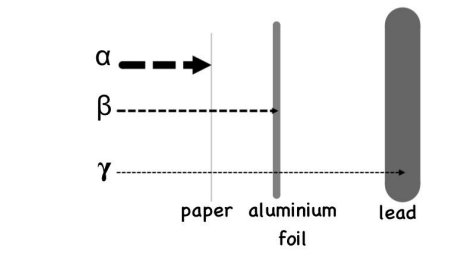 <p>Gamma travel far and are<span style="color: purple"> stopped by lead</span>. Alpha particles are<span style="color: purple"> stopped by paper</span>. Beta particles are stopped by <span style="color: purple">aluminium foil</span>.</p>