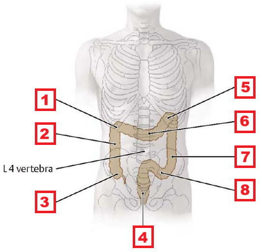 <p>2</p>