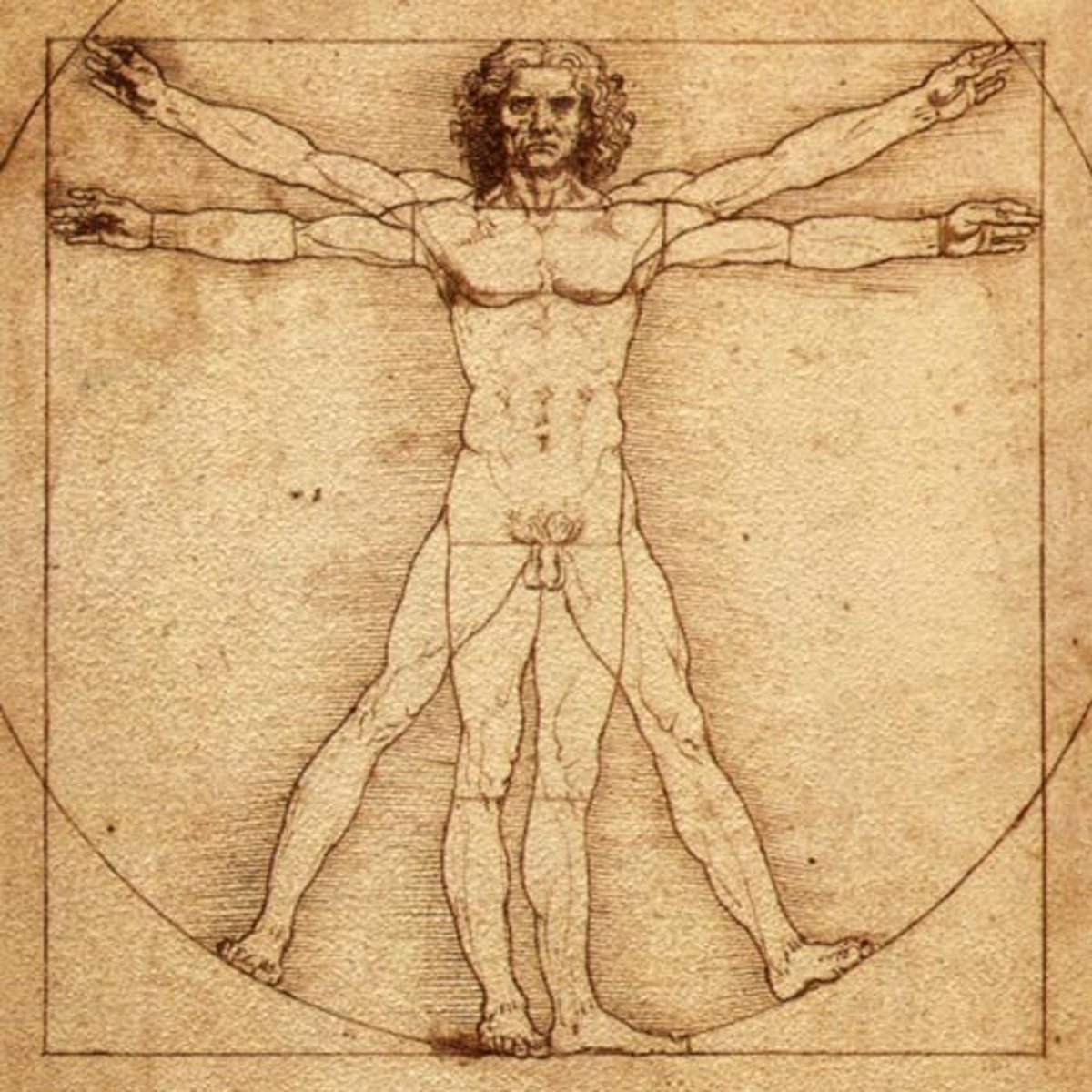 <p>The human being is the most important entity in the universe. The world is perceived according to the values and experiences of the human being.</p>