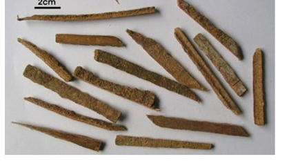 <ul><li><p>Saponin nhóm <strong>ursan, olean</strong></p></li><li><p>tanin</p></li><li><p>tinh dầu</p></li></ul><p></p>