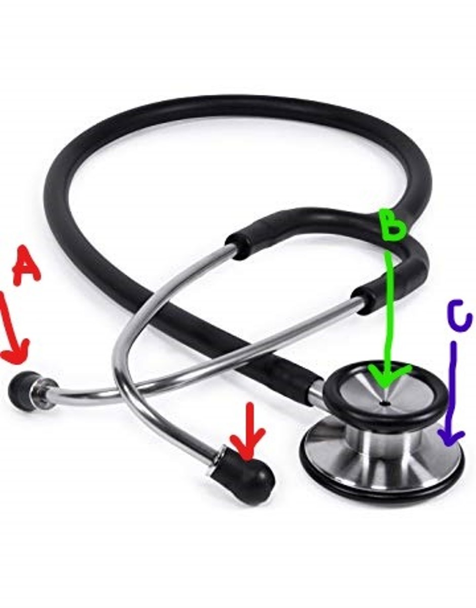<p>smaller dome used for low frequency sounds</p><p>*preferred use for heart sounds</p><p>(B IN IMAGE)</p>