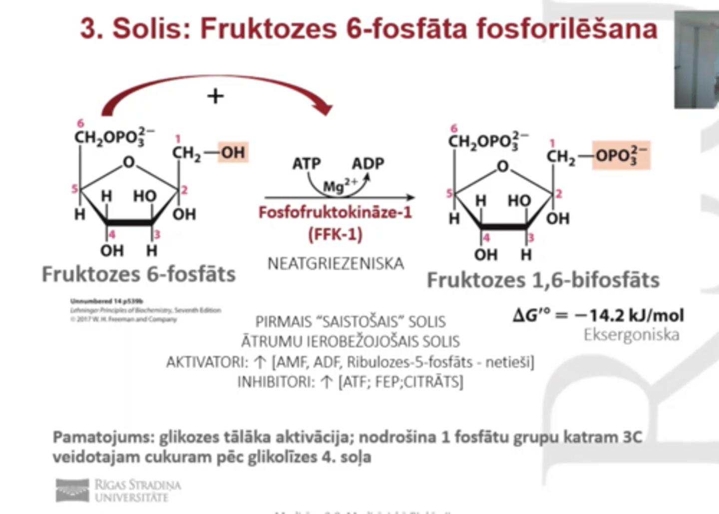 <p>Fruktozes-6-fosfāta fosforalizēšana</p><p>Fruktozes 6-fosfāts--> Fruktozes 1, 6 bifosfāts</p><p>enzīms: (FFK-1) transferāze, Mg</p><p>Neatgriezeniska reakcija</p><p>Fruktozes 6 fosfāts ir apsteidzoša regulācija (palielinoties koncentrācijai, palielināsies arī enzīma ativitācija)</p><p>IZMANTO ATP.</p><p>2 Regulatorais solis glikolīzē, kā arī 1 saistošais solis, KĀ ARĪ ātrumu ierobežojošais solis (produkti var inhibēt FFK1)</p><p>aktivatori: AMF, ADF, Ribulozes 5 fosf- netieši</p><p>ALLOSTĒRISKĀ REGULĀCIJA</p>