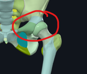 <p>What is this joint called?</p>