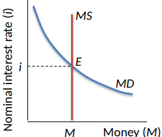 <ul><li><p><span>The Fed primarily controls the supply of money with open-market operations</span></p><ul><li><p><span>An open-market purchase of bonds by the Fed increases the money supply</span></p></li><li><p><span>An open-market sale of bonds by the Fed decreases the money supply</span></p></li></ul></li><li><p><span>Supply of money is vertical</span></p></li><li><p><span>Equilibrium is at E</span></p></li></ul><p></p>