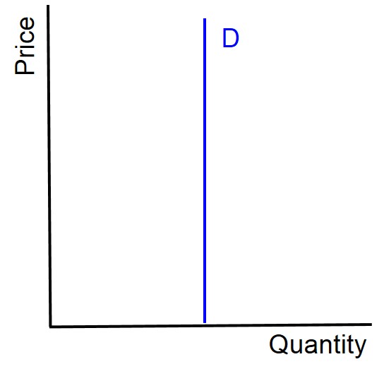 <p>Perfectly inelastic demand. A change in price leads to no change in demand.</p>