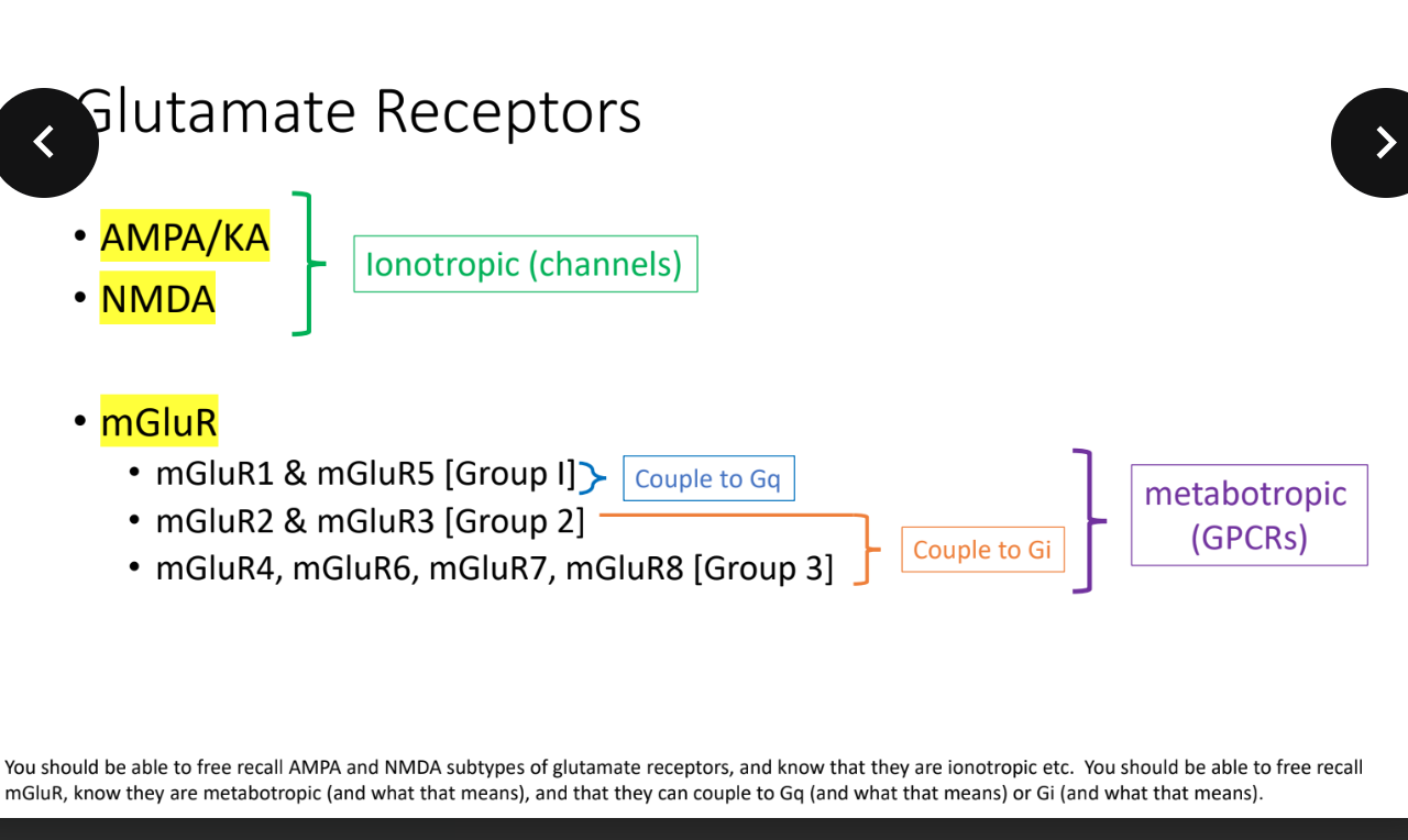 <p><span>A metabotropic receptor is </span><strong><mark data-color="unset" style="background-color: unset; color: inherit;">a type of cell membrane receptor that, upon binding to a neurotransmitter, triggers a series of intracellular signaling pathways rather than directly opening an ion channel.</mark></strong></p><p></p><p>mGluR1 and mGluR5 — <strong>Couples to Gq</strong></p><p></p><p>mGluR2 and mGluR3 </p><p>mGluR4 and mGluR6</p><p>mGluR7 and mGlueR8 </p><p><strong>These 3 groups couple to Gi</strong></p>