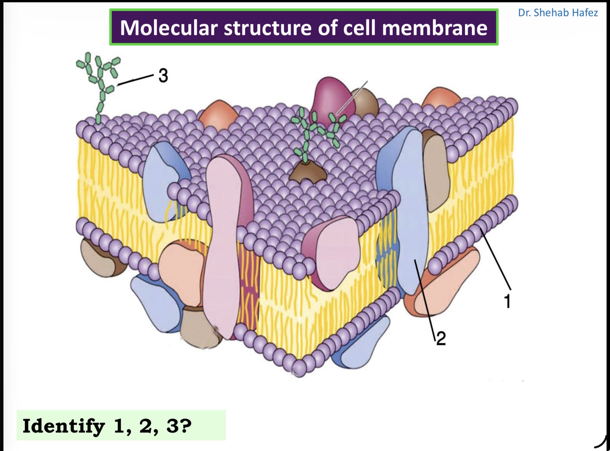 <p>Answer the questions in these following pictures</p>