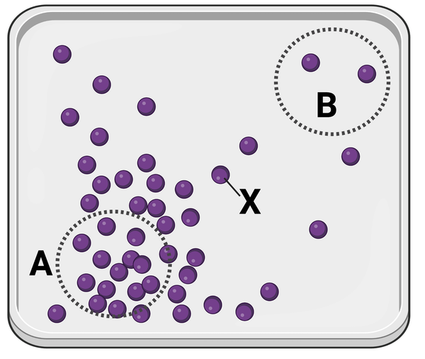 <p>Which statement is correct?</p><ul><li><p><span>a. Molecule X will more likely diffuse to area A before diffusing to area B.</span></p><p></p></li><li><p><span>b. Molecule X will more likely diffuse to area B before diffusing to area A.</span></p><p></p></li><li><p><span>c. Molecule X is equally likely to diffuse to area A or area B.</span></p></li></ul><p></p>