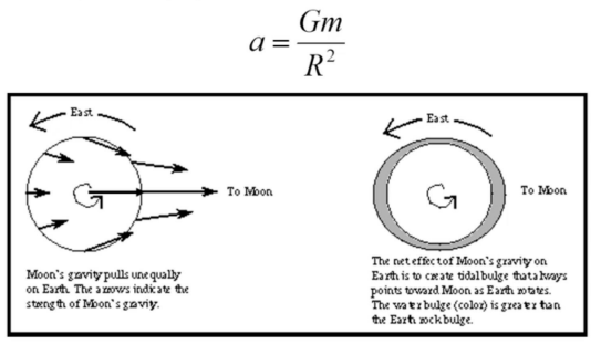 <p>The side of the Earth towards the Moon is closer than the side away from the Moon, and thus has a larger acceleration due to the Moon’s gravity</p>