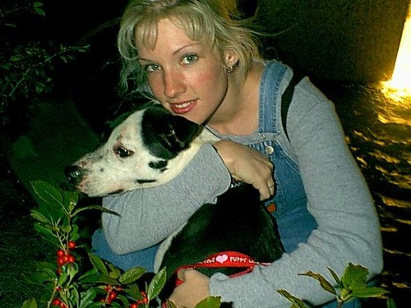 <p>all of you love dogs</p>