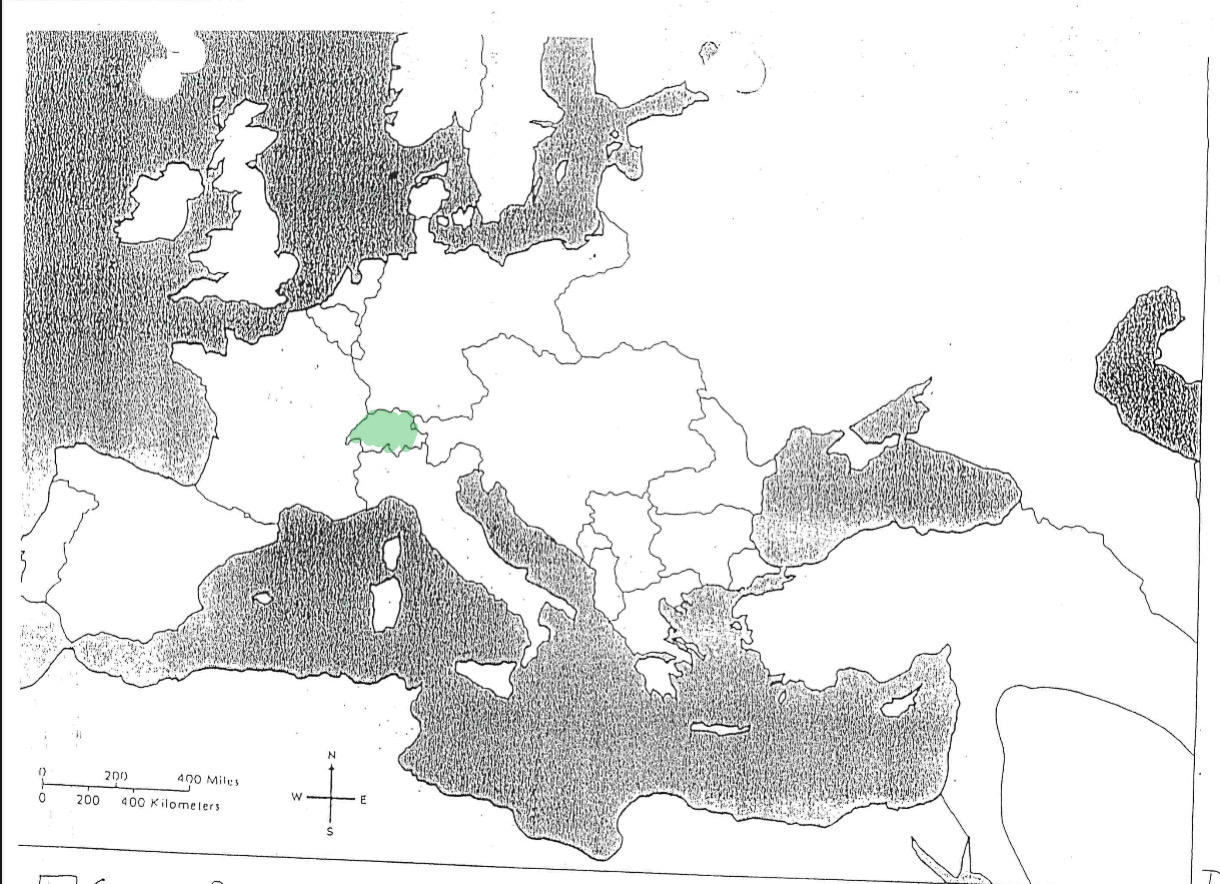 term image