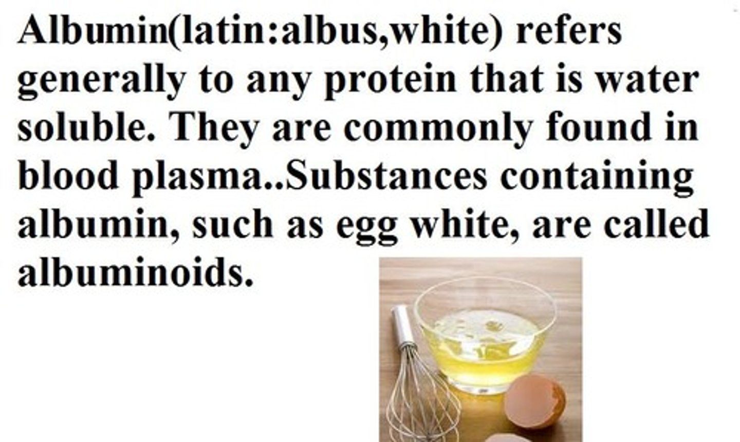 <p>albumin</p>