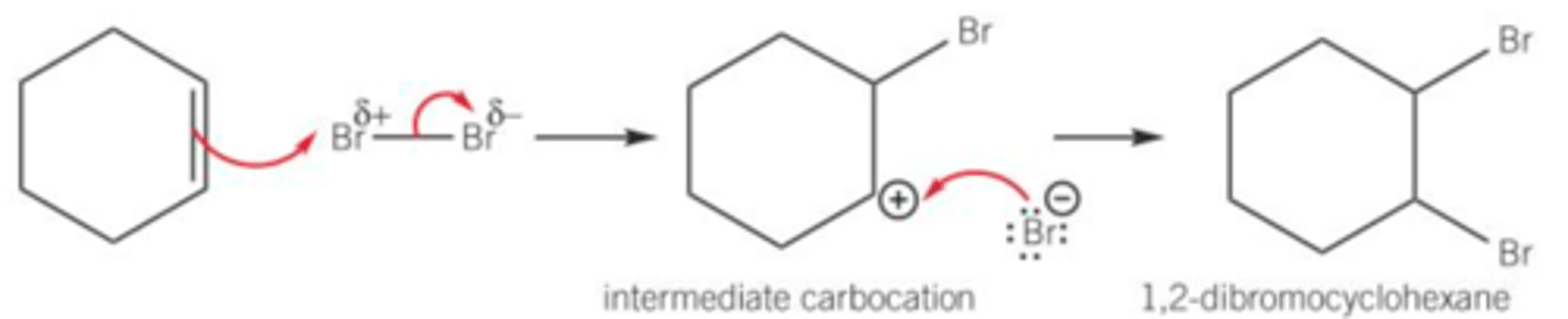 <p>Electrophilic addition</p>