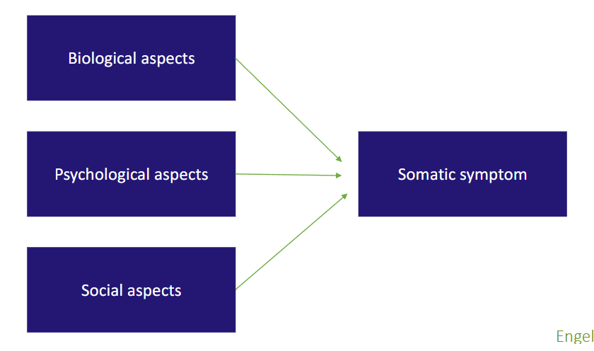 <ul><li><p>Somatic pathology → Somatic symptom</p></li><li><p>Psychopathology → Somatic symptom</p></li></ul><p></p>