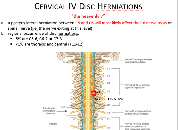 <p><span style="font-family: &quot;Bodoni MT&quot;">difficulty feeling the lateral deltoid region and abducting their arms, that is a C5 nerve dysfunction</span></p><p></p><p><span style="font-family: &quot;Bodoni MT&quot;">The C5 nerve exits through the C4/C5 intervertebral foramen.</span><span>&nbsp;</span></p><p style="text-align: left"></p><p style="text-align: left"><span style="font-family: &quot;Bodoni MT&quot;">A paracentral or far lateral disc C4/C5 herniation will impinge upon nerve root C5.</span></p><p></p>