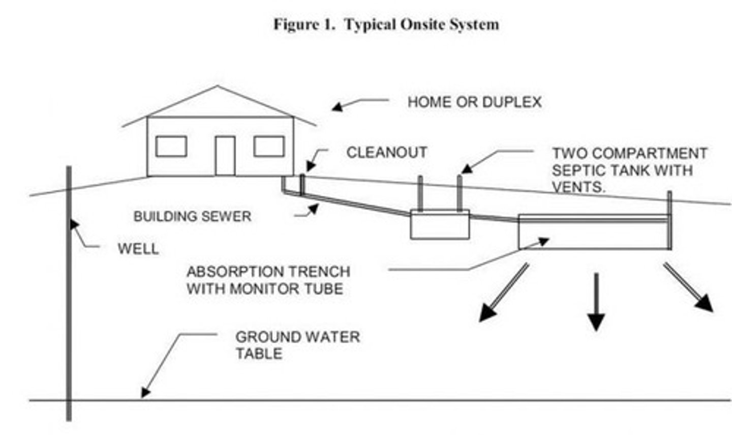 <p>Building>Septic Tank>Distribution Box>Leach/Absorption Field</p>