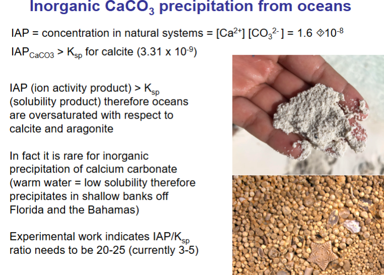 <p>Oceans are oversaturated in calcium carbonate however inorganic precipitation is rare. </p><p>Most precipitation is biologically mediated and in the form of aragonite despite it being slightly more soluble than calcite. </p>