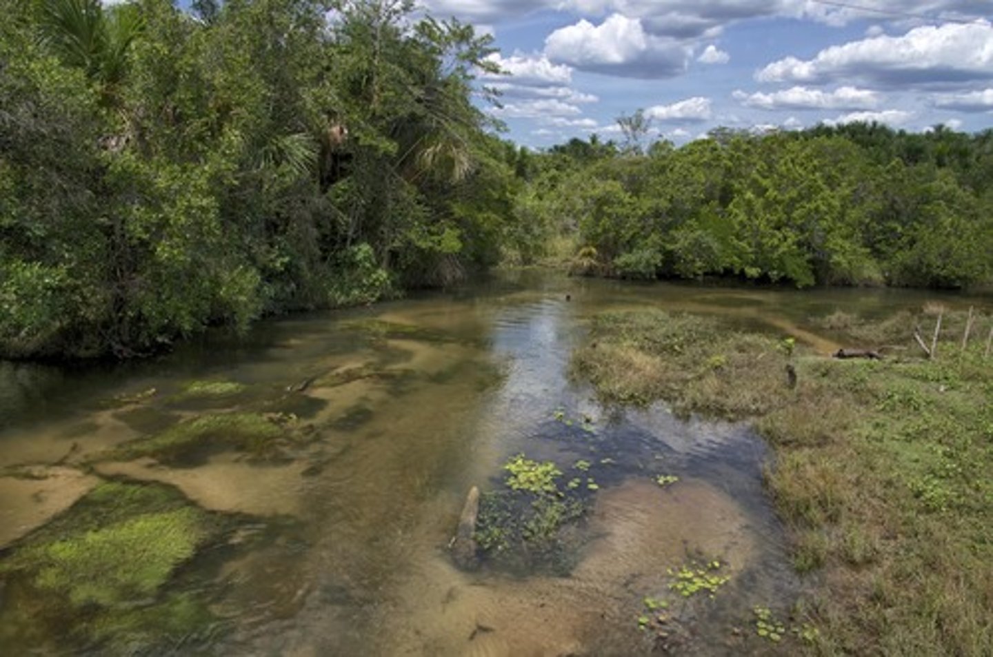 <p>Soil that has been moved away from its parent material by water, wind, or a glacier.</p>