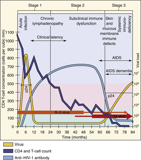 <p>How does HIV-1 disease progress?</p>