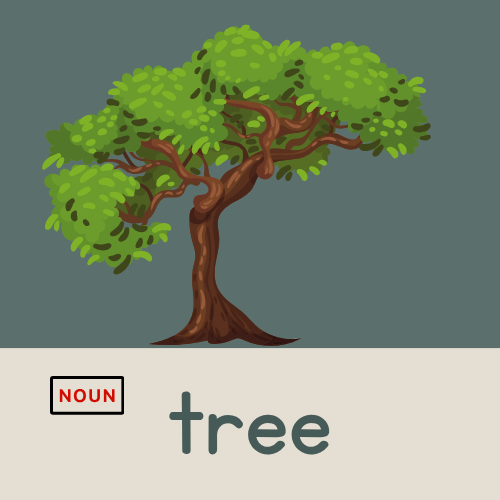 <p>tree</p>